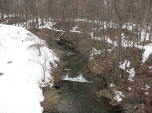 brown_1
