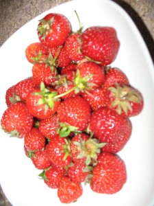 Strawberries_3