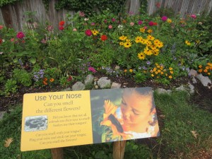 Sensory Garden at Seneca Park Zoo