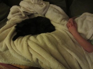 IMG_2513[1]