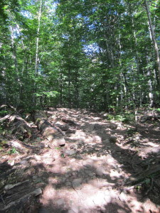 hill hike rocks00000000000000000000000000000