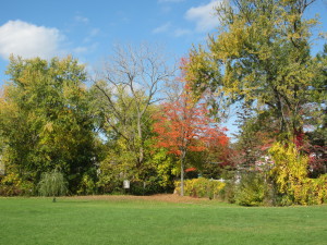 IMG_3828[1]