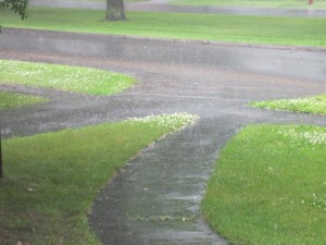rain on summer day