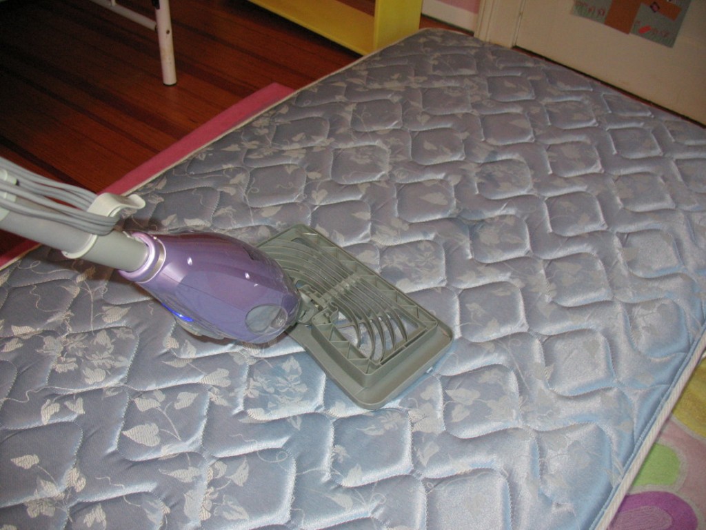 Home Invasion? Warning May Cause Itching. Capital District Fun